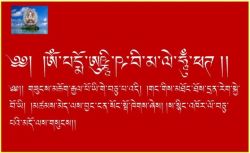 OM PADMO USHNÎSHA VIMALE HÛM PHAT