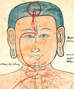 The channels of the head