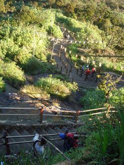 Adam's Peak