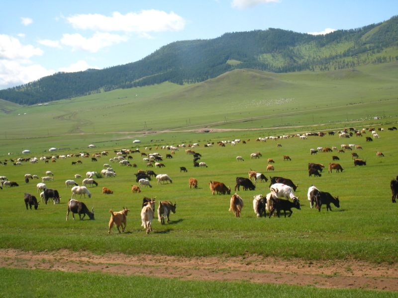 File:Mongolia-has-mor132.jpg