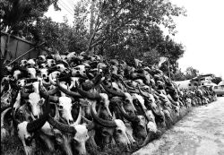The Merit of Practice in a Cemetery