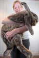 Thumbnail for version as of 08:26, 18 October 2013