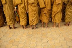 Life and Education in a Buddhist Monastery