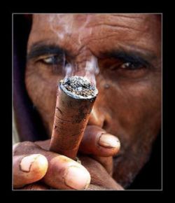 Psychoactive Plants in Tantric Buddhism