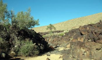 In the Shadows of Sagebrush