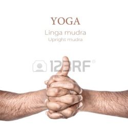 Buddhist Symbols, The Becon Lights to Nibbana by Ven. Dr.Bhikkhu Bodhipala