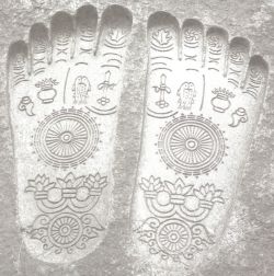 Evolved features, the hoof depicting Tri Ratna