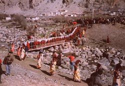 Black Crown or shwa-nag