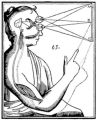 Thumbnail for version as of 03:07, 27 January 2013