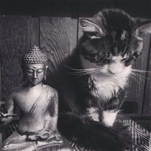 NECESSARY QUALITIES OF A VAJRAYANA TEACHER BY TARANATHA in ‘A HUNDRED BLAZING LIGHTS’