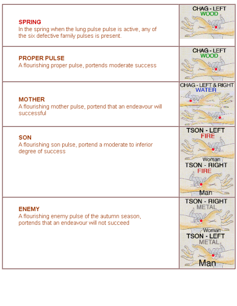 File:Spring-sucsess-pulse.png
