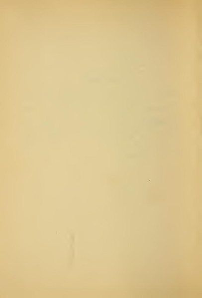 File:1921898.pdf