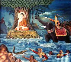 The Participation of Women in the Renunciate Life