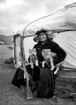 The Development Of Shamanism In Mongolia After Socialism by Tuvshintugs Dorj