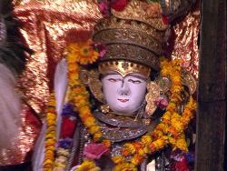 Seto Machchhindra