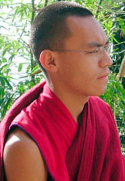 Nechung Rinpoche and his lineage