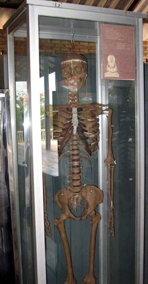 Complete human skeleton on display at the Tigers Temple to help the monks in their meditations on impermanence.(Picture courtesy of my friend Paola)