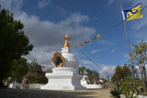 BRIEF HISTORY OF SECRET BUDDHISM IN CHINA