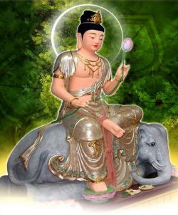 The Bodhisattva Universal Worthy