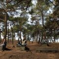 Thumbnail for version as of 08:11, 2 January 2013