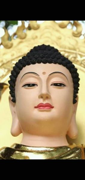File:9052029.jpg