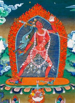 Nāroḍākinī