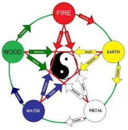 Basics of the 5 Elements