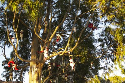 are used in ceremonies in both and Hindu , and in some Himalayan shamanic traditions also. They are used in ceremonies to symbolically transform base offerings to nectar - the food of the gods. They a