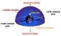 Thumbnail for version as of 01:08, 1 April 2013