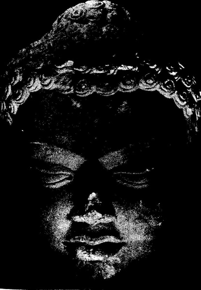 File:The Tao of Physics.pdf