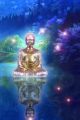 Thumbnail for version as of 22:06, 29 April 2014