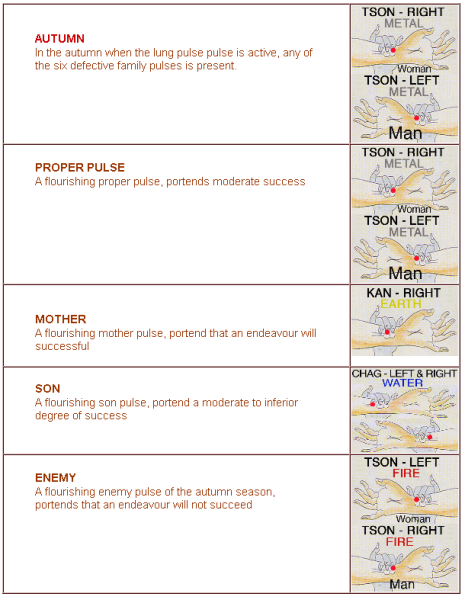 File:Autmn-sucsess-pulse.png