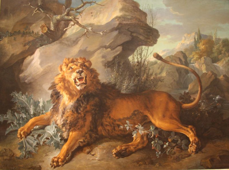 File:Oudry Lion Spider77767.JPG