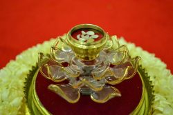 of from Supreme[Patriarch of