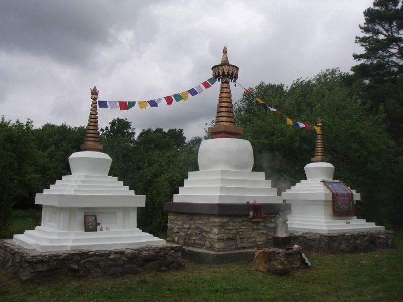 File:Rotaalia-stuupad-Värv.jpg