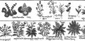 Thumbnail for version as of 12:50, 1 December 2013