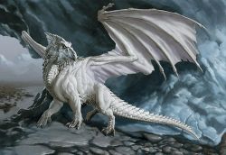 Birth of the dragon