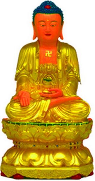 File:Amido.JPG