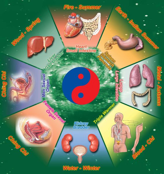 File:Pakua+5elements.jpg