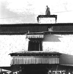The Kora of the Jokhang temple