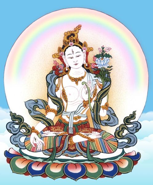File:983466.jpg