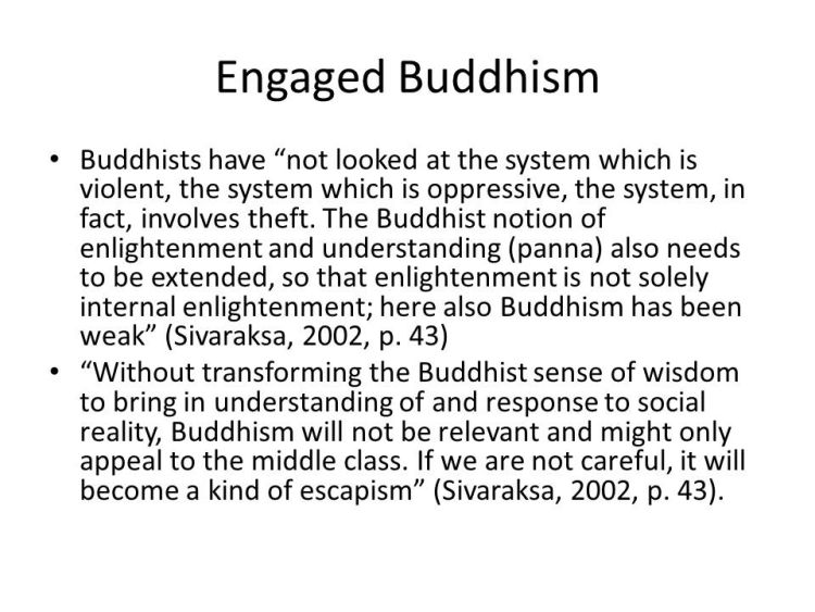 On Conversation between Deleuzians and Buddhists by Professor Ian Cook