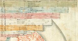 The levels of the gods of the formless and form realms