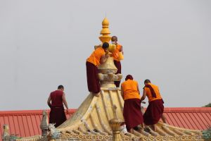 Buddhism in India