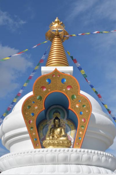 File:Istockphoto-1199955378-612x612.jpg