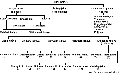 Thumbnail for version as of 05:39, 9 August 2013