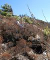 Longchenpa's cave