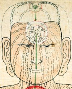 The channels of the head