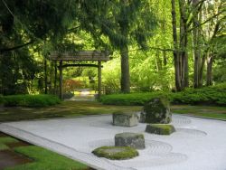 The Dhyana-Samadhi Meditation Absorptions - Part 8