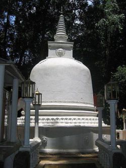Na Uyana Aranya